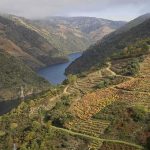 ribeira sacra